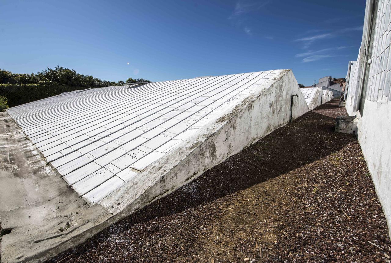 Herdade Do Ananas Ponta Delgada  Exterior photo