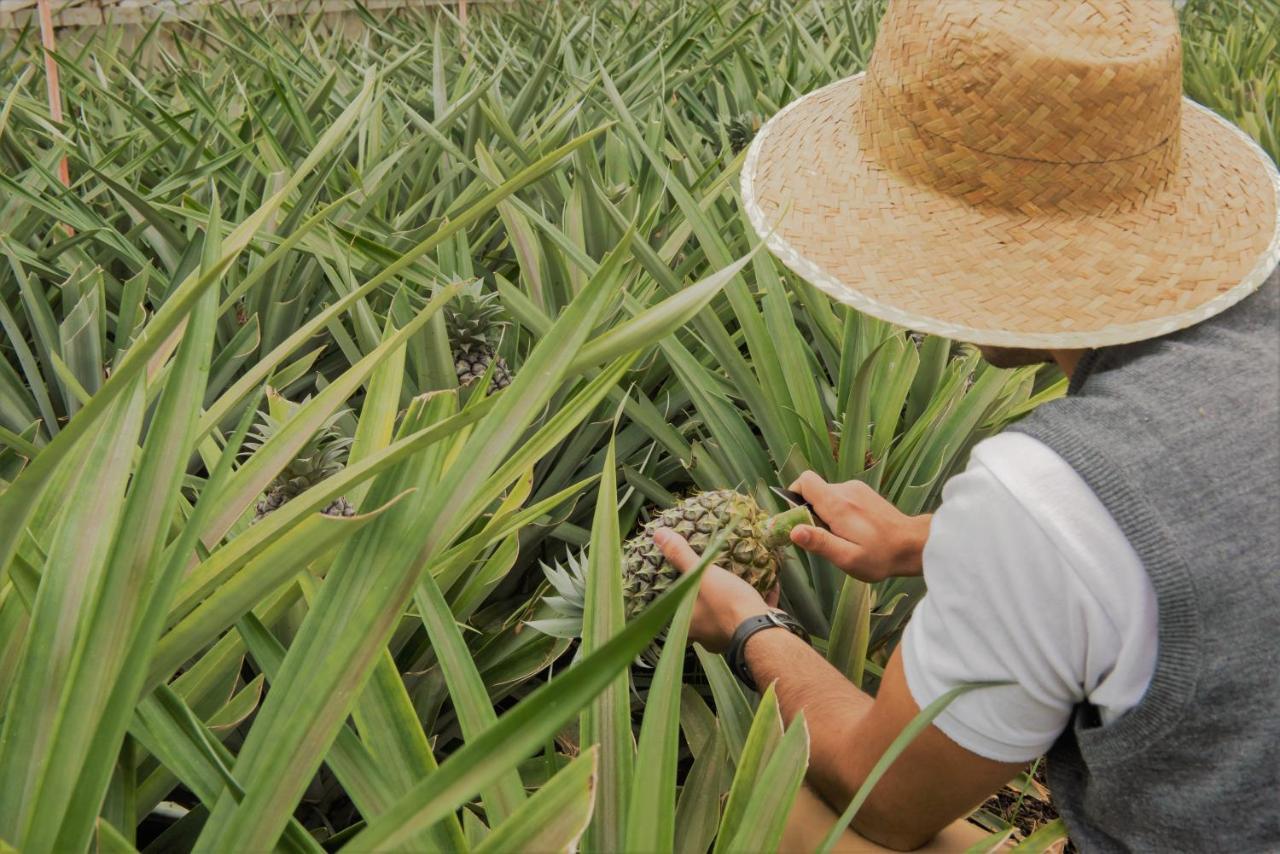 Herdade Do Ananas Ponta Delgada  Exterior photo